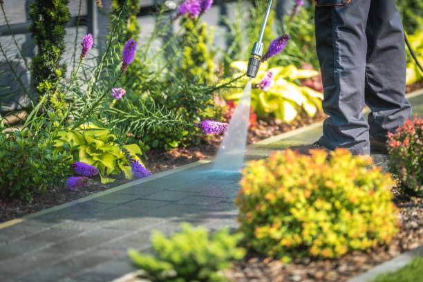 Trusted Wellington, CO Pressure Washing Experts